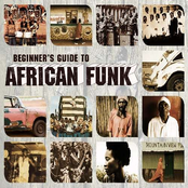 Beginners Guide To African Funk