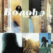 Silver by Bonobo