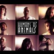 Humans As Animals