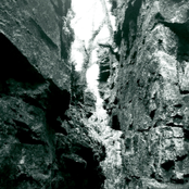 Answers Hidden in the Grove