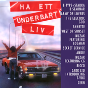 Ha ett underbart liv