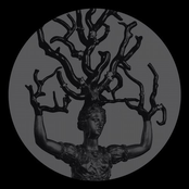 The Day She Asks for Forgiveness