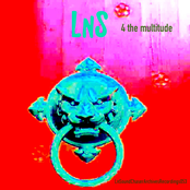 LnS 4 The Multitude