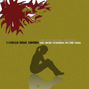 I Could Have Sworn You Were Standing On The Edge