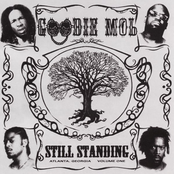 Goodie Mob: Still Standing