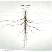 Traveling Through Roots