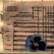 Fragment 7 / Recording 4m / Sound 7