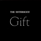 Giving Ground by The Sisterhood