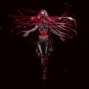 from cocoon to butterfly