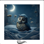 Serenity at Night Gentle White Noise