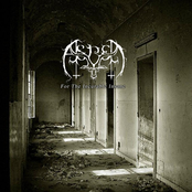 For the Incurable Insane