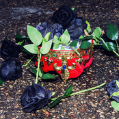 It's Just a Kiss-Off