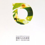 蜂蜜与白色樱草