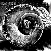 Imminence by Intheshit