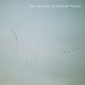 Davy Knowles: If I Should Wander