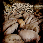 In a Society of Pig (2012)