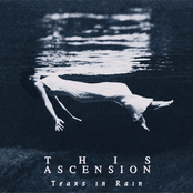 Tears in Rain