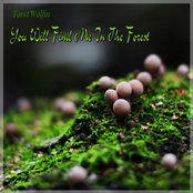You Will Find Me In The Forest