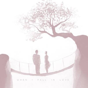 When I Fall in Love