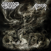 Ascended Dead: Ascended Dead / Atomicide Split