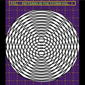 Patterns in the Storm, Vol. I