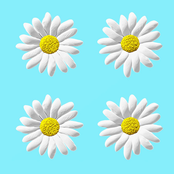 Prep Cook In The Weeds