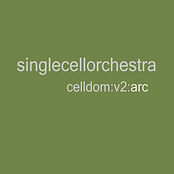 Ynot by Single Cell Orchestra