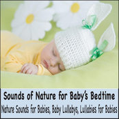Sounds of Nature for Baby's Bedtime: Nature Sounds for Babies, Baby Lullabys, Lullabies for Babies