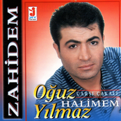 Çarşı Çakalı (Halimem)