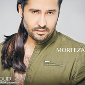 morteza lotfi