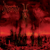 Realm of the Damned