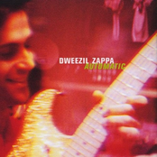 Purple Guitar by Dweezil Zappa