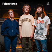 Prize Horse on Audiotree Live