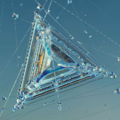 Kevin De Vries: Saga