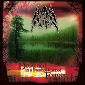 Drowned in a SwampHeart of Europe