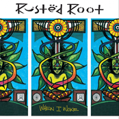 Rusted Root: When I Woke