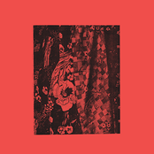 Escapism / Fennec The Fox / Kusto. / Marjory Stewart-Baxter