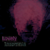 lovely insomnia