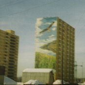 птица в небе дома