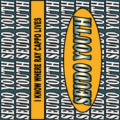 I Know Where Ray Cappo Lives