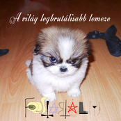 A világ legbrutálisabb lemeze