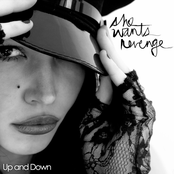 She Wants Revenge: Up and Down