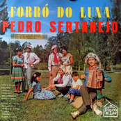 Forró do Luna