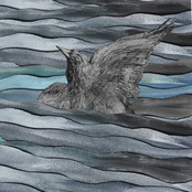 For Your Entertainment