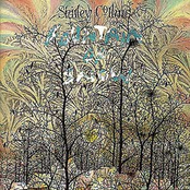 Locks And Bolts by Shirley Collins