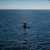 Venga / Desorientado