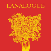 Last Analogue - DRIRI