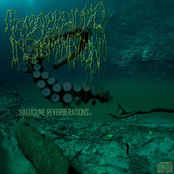 BBCDR028 - Halocline Reverberations