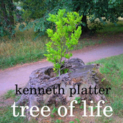 Tree Of Life