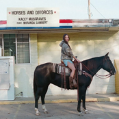 Horses and Divorces